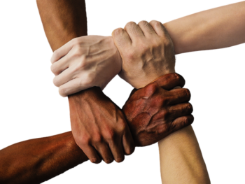 Elders